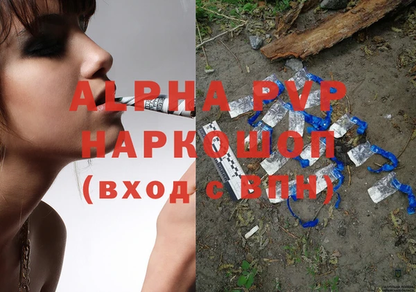 сатива Зеленокумск
