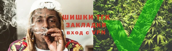 сатива Зеленокумск