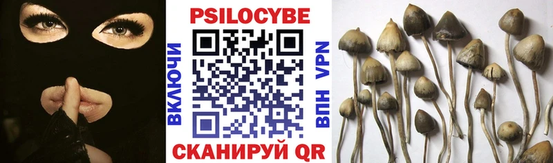 Галлюциногенные грибы Magic Shrooms  Купить где  Красавино 